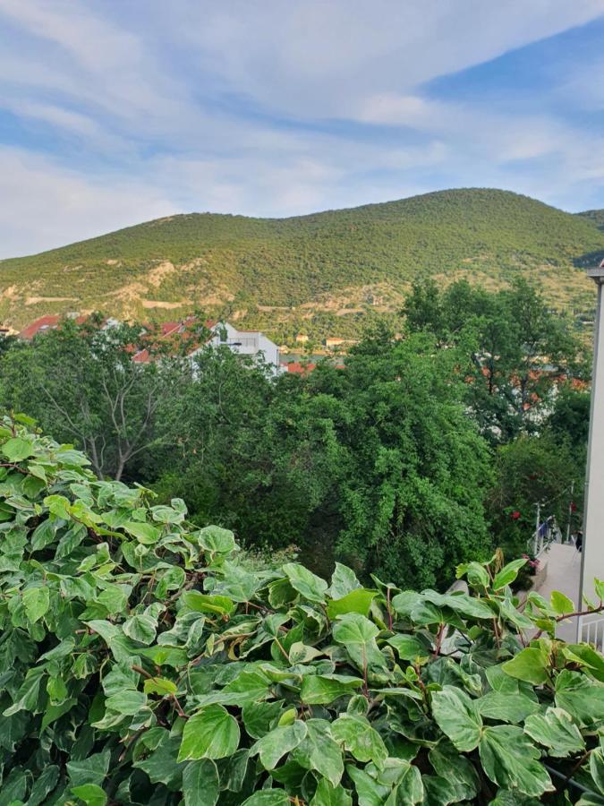 Apartment Rita Mokošica المظهر الخارجي الصورة